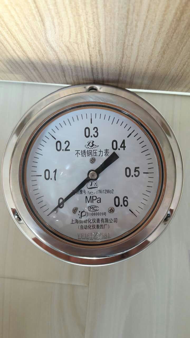 YTN-60ZT耐震壓力表0-1Mpa